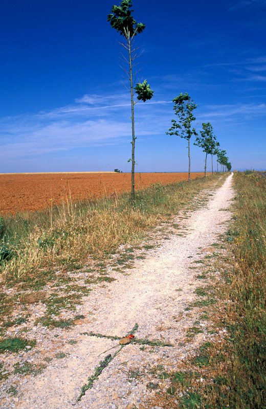 Route near León